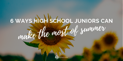 Image Not Found On Media Library