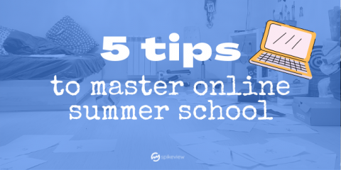 Image Not Found On Media Library