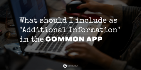what should I include as Additional Information in the Common App